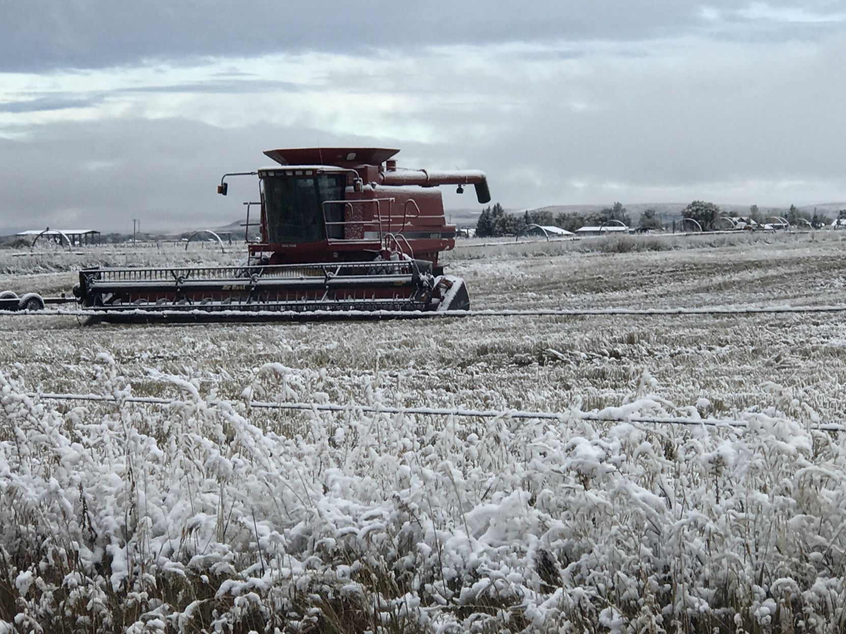First Measurable Snow